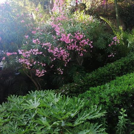Il Gioiello Nel Parco - Sanremo Apartments Kültér fotó